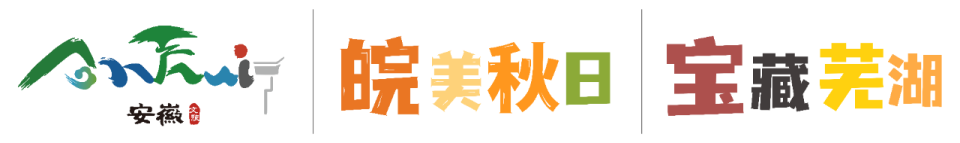 img, pages, bt
