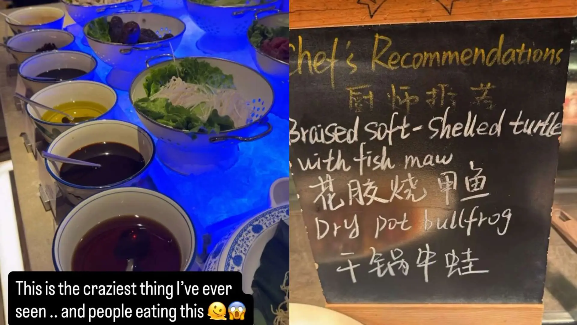 深圳自助餐, 张帅搭档吐, 发热议